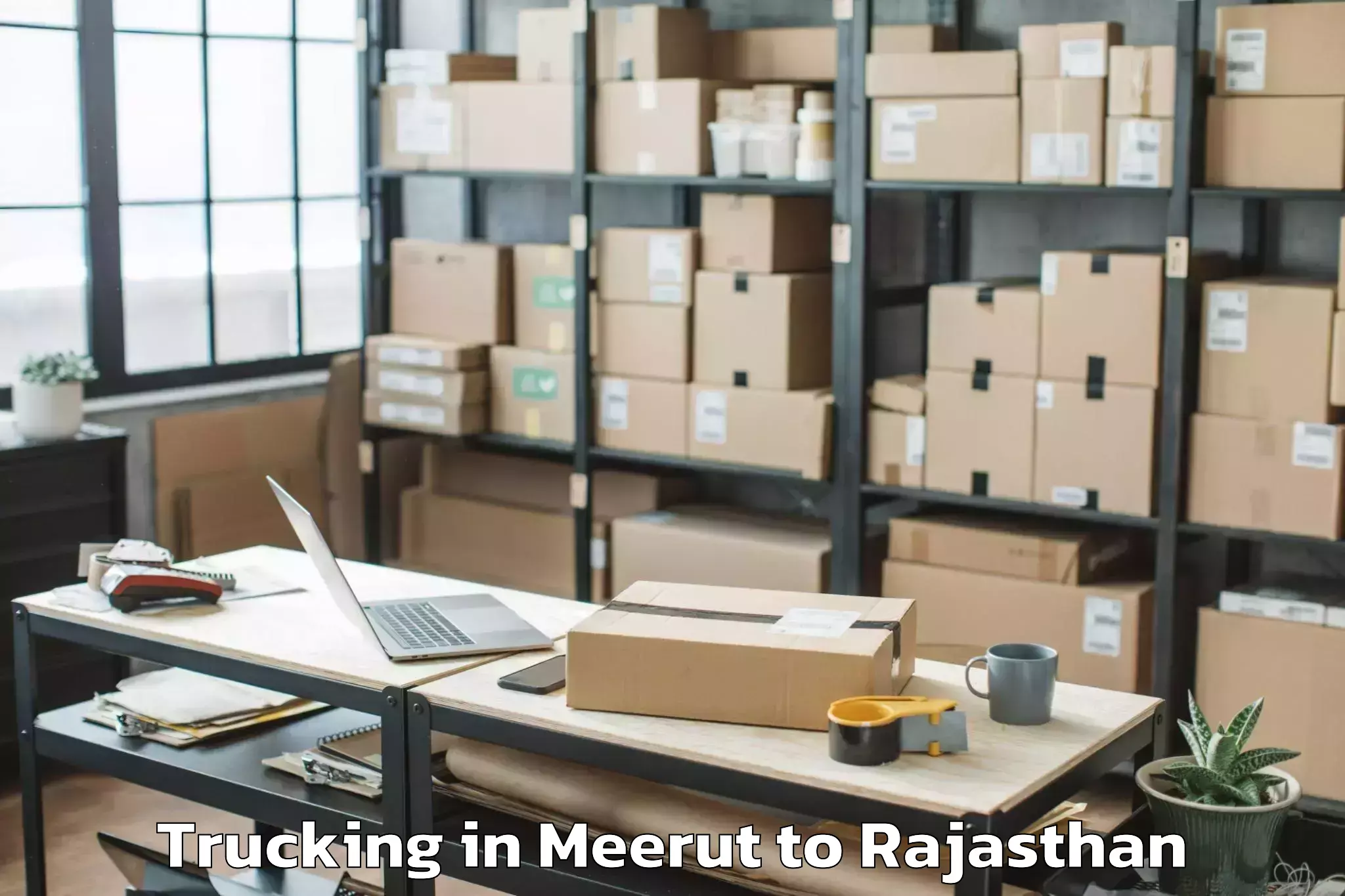 Meerut to Ladnun Trucking Booking